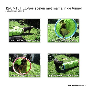 Spel in de puppy tunnel, ook met oma en mama